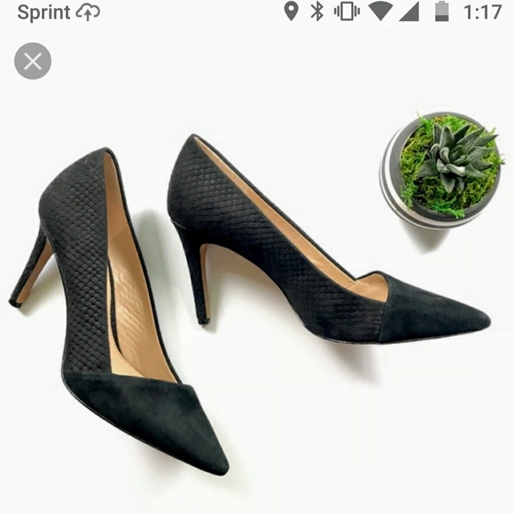 Vince camuto - vp perri